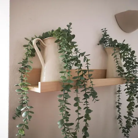 Alegria Center Apartment *