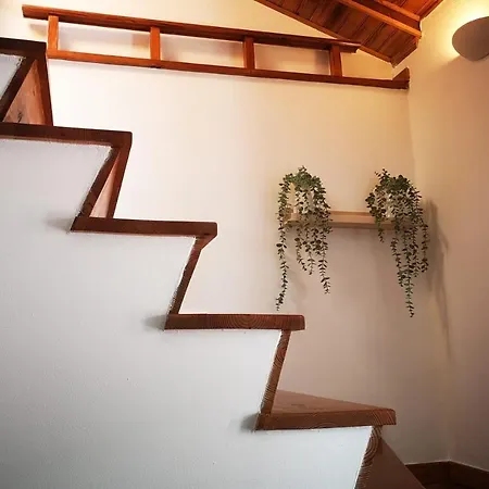 Alegria Center Apartment