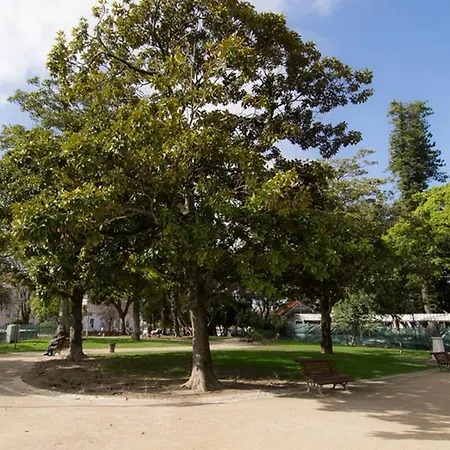 Alegria Center Apartment *