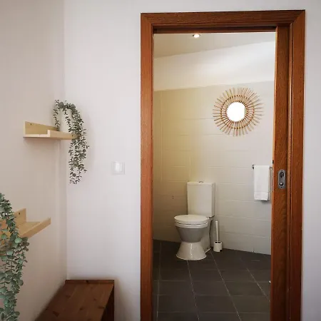 Alegria Center Apartament